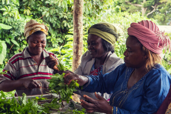 CAMEROUN - APONH